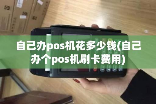 自己办pos机花多少钱(自己办个pos机刷卡费用)