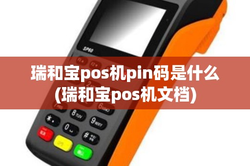 瑞和宝pos机pin码是什么(瑞和宝pos机文档)