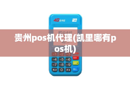 贵州pos机代理(凯里哪有pos机)