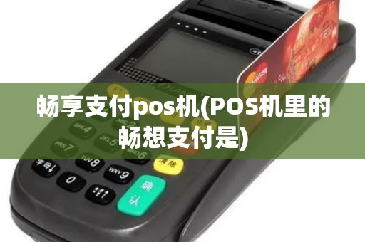 畅享支付pos机(POS机里的畅想支付是)