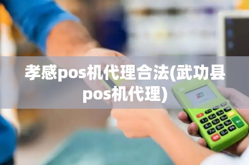 孝感pos机代理合法(武功县pos机代理)