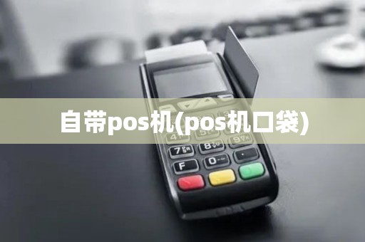 自带pos机(pos机口袋)