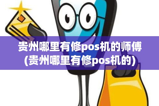 贵州哪里有修pos机的师傅(贵州哪里有修pos机的)