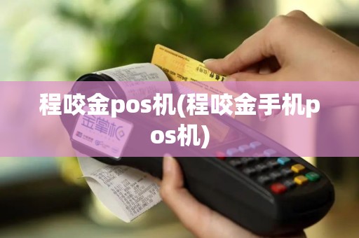 程咬金pos机(程咬金手机pos机)