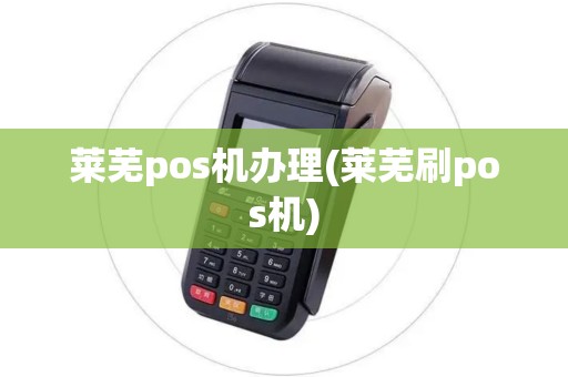 莱芜pos机办理(莱芜刷pos机)