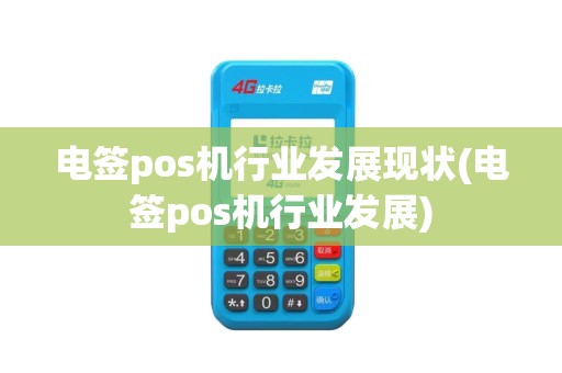 电签pos机行业发展现状(电签pos机行业发展)