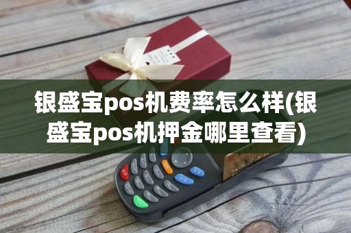 银盛宝pos机费率怎么样(银盛宝pos机押金哪里查看)
