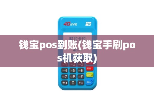 钱宝pos到账(钱宝手刷pos机获取)
