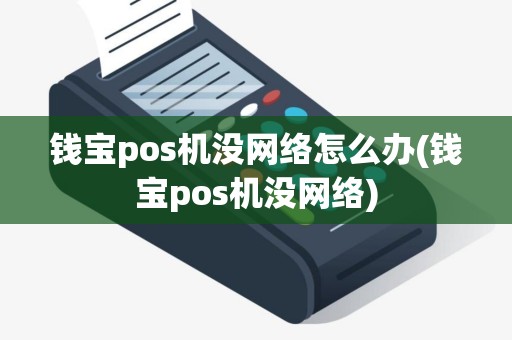 钱宝pos机没网络怎么办(钱宝pos机没网络)
