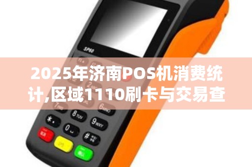 2025年济南POS机消费统计,区域1110刷卡与交易查询