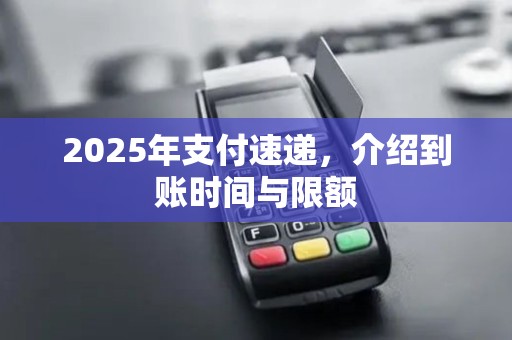 2025年支付速递，介绍到账时间与限额