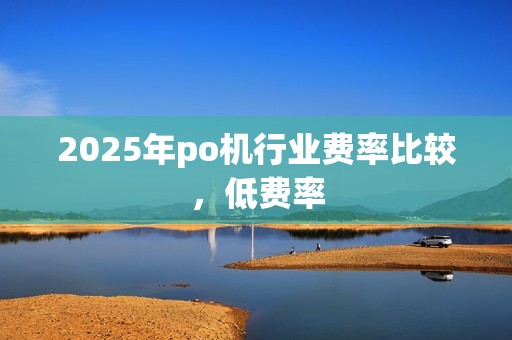 2025年po机行业费率比较，低费率
