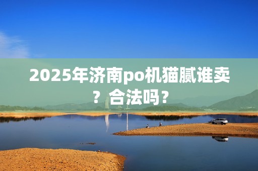 2025年济南po机猫腻谁卖?合法吗?