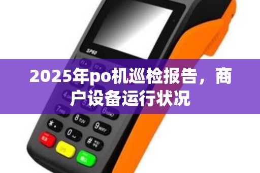 2025年po机巡检报告，商户设备运行状况