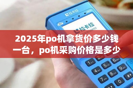 2025年po机拿货价多少钱一台，po机采购价格是多少(po机裸机采购)