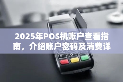 2025年POS机账户查看指南，介绍账户密码及消费详情