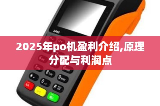 2025年po机盈利介绍,原理分配与利润点