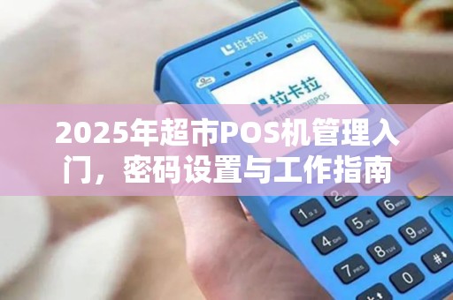 2025年超市POS机管理入门,密码设置与工作指南