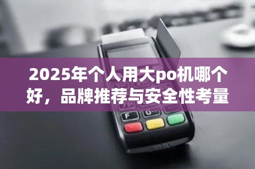 2025年个人用大po机哪个好，品牌推荐与安全性考量