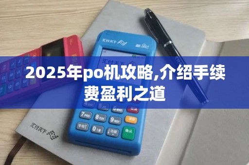 2025年po机攻略,介绍手续费盈利之道