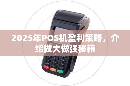 2025年POS机盈利策略,介绍做大做强秘籍