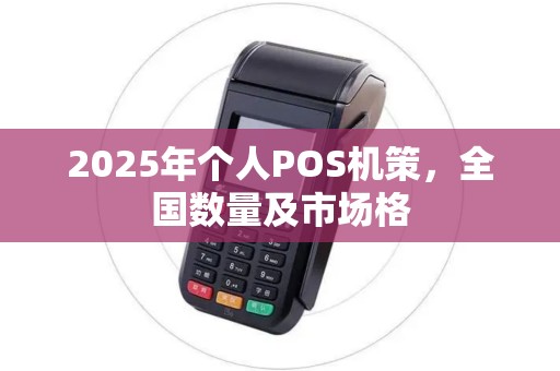 2025年个人POS机策，全国数量及市场格