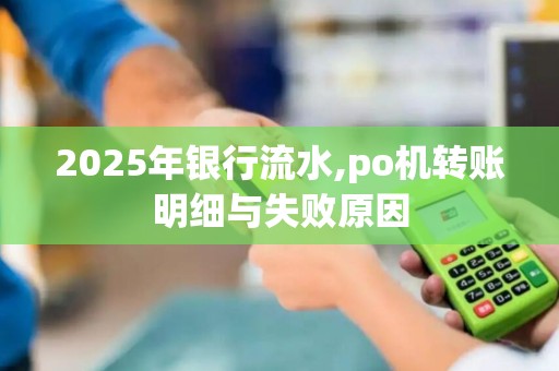 2025年银行流水,po机转账明细与失败原因