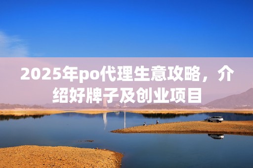 2025年po代理生意攻略,介绍好牌子及创业项目