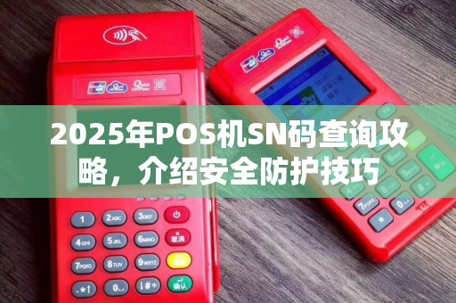 2025年POS机SN码查询攻略,介绍安全防护技巧