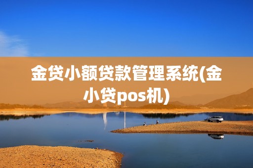 金贷小额贷款管理系统(金小贷pos机)