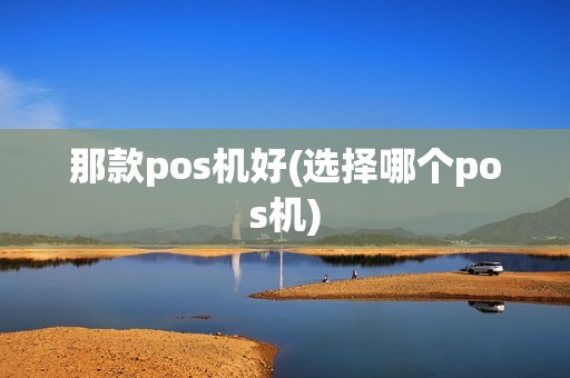 那款pos机好(选择哪个pos机)