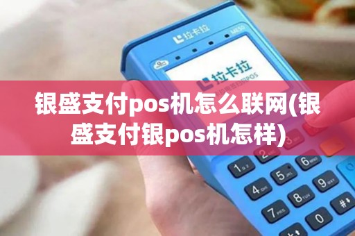 银盛支付pos机怎么联网(银盛支付银pos机怎样)