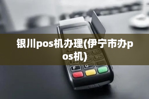 银川pos机办理(伊宁市办pos机)