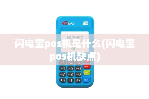 闪电宝pos机是什么(闪电宝pos机缺点)