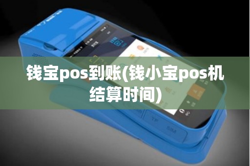 钱宝pos到账(钱小宝pos机结算时间)