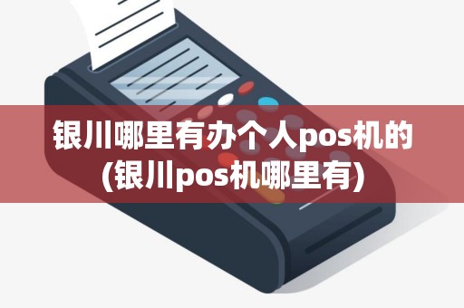 银川哪里有办个人pos机的(银川pos机哪里有)