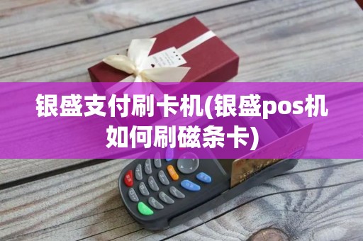 银盛支付刷卡机(银盛pos机如何刷磁条卡)