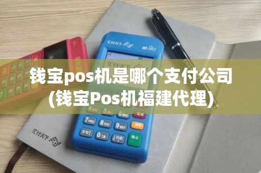 钱宝pos机是哪个支付公司(钱宝Pos机福建代理)