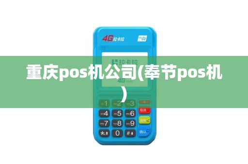 重庆pos机公司(奉节pos机)