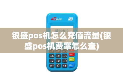 银盛pos机怎么充值流量(银盛pos机费率怎么查)