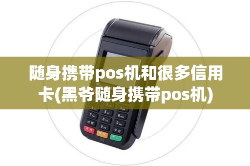 随身携带pos机和很多信用卡(黑爷随身携带pos机)