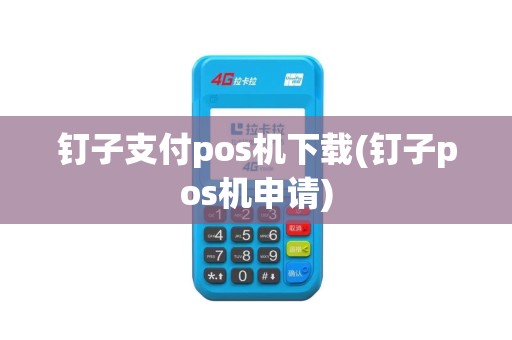 钉子支付pos机下载(钉子pos机申请)