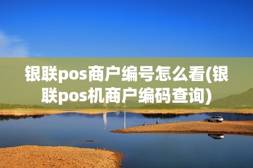 银联pos商户编号怎么看(银联pos机商户编码查询)