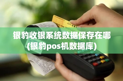 银豹收银系统数据保存在哪(银豹pos机数据库)