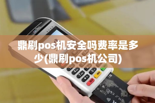 鼎刷pos机安全吗费率是多少(鼎刷pos机公司)