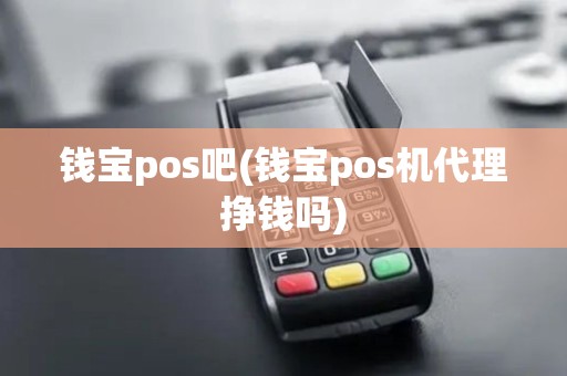 钱宝pos吧(钱宝pos机代理挣钱吗)