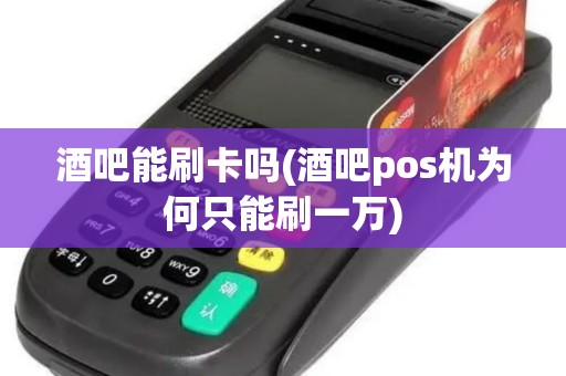 酒吧能刷卡吗(酒吧pos机为何只能刷一万)