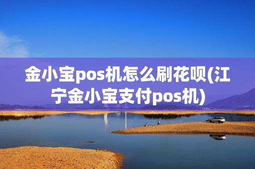 金小宝pos机怎么刷花呗(江宁金小宝支付pos机)