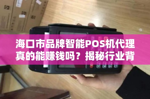 海口市品牌智能POS机代理真的能赚钱吗?揭秘行业背后的5大真相!