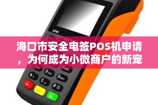 海口市安全电签POS机申请,为何成为小微商户的新宠?背后隐藏这些风险需警惕!